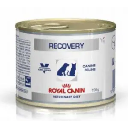 Royal Vet Canine Recovery Caja 12x195 gr Precio: 36.3181819. SKU: B1J68TBMDN