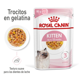 Royal Feline Kitten Gelatina 12x85 gr Precio: 19.9545456. SKU: B15ZEYYQCQ
