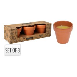 Basics Vela Citronela de Terracota, Ø6 x 6 cm, 3 uds - Velas Antimosquitos en Maceta Precio: 4.6343. SKU: B1452B5YZT