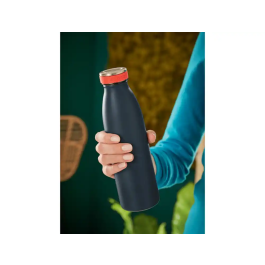 Botella Isotermica Leitz Cosy 500Ml Gris
