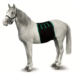 Equine Recovery Bandaging Size S Precio: 448.993259. SKU: B1GJT7FPSA