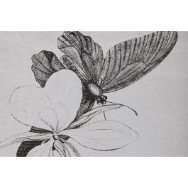 DKD Home Decor Cuadro Negro Cristal Abeto Mariposas 2.8 x 60 x 40 cm (4 Unidades)