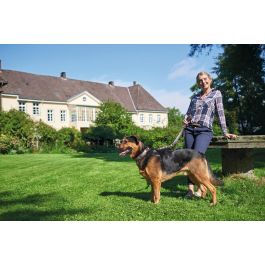 Hunter Collar Swiss para Perro de Piel Napa Marrón y Negro, Ajustable Cuello 35-39.5 cm, 2.6 cm Ancho, Diseño Clásico Premium