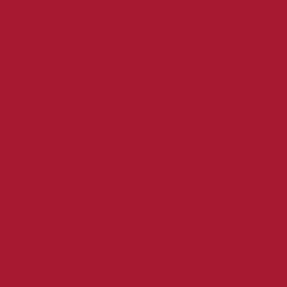 Cricut Rollo de vinilo de termotransferencia Smart Iron-On Rojo 330 mm x 900 mm - 2008691 Cricut Rollo de vinilo de termotransferencia Smart Iron-On Rojo 330 mm x 900 mm - 2008691