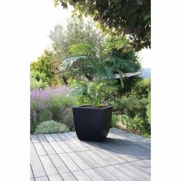 EDA Jardinera Cuadrada Diva Stone 42 L - con Bandeja Extraíble - Exterior o Interior - Decoración Onda - 43,5 x 43,5 x A.44,2 cm EDA Jardinera Cuadrada Diva Stone 42 L - con Bandeja Extraíble - Exterior o Interior - Decoración Onda - 43,5 x 43,5 x A.44,2 cm