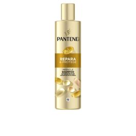 Pantene MIRACLE REPARA & PROTEGE champú para cabello dañado, fortalece y nutre con Pro-V y Active Nutri-Plex 250 ml Precio: 3.99225222. SKU: B15T53MF6L
