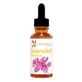Enervital Epilobium Parviflorum 50 Ml Precio: 14.4999998. SKU: B17P2CF4KM