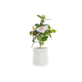 DKD Home Decor Planta Rosal Artificial Rosa Palo Verde Blanco 18x38x23 cm (4 Unidades) PVC EVA Precio: 28.48098. SKU: B14WV47JXY