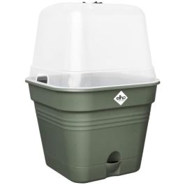 Pot de flores cuadradas básicas verdes - plástico - tanque - Ø20 - verde hoja Precio: 24.50000014. SKU: B17SPTCNR7