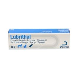 Dechra Lubrithal Gel Ocular Humectante 10 gr para Perros y Gatos Precio: 13.6900005. SKU: B1JJNXTLHV