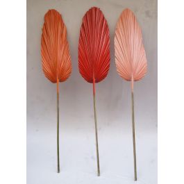 DKD Home Decor Rama Rosa Naranja 2 x 148 x 22 cm (12 Unidades) Precio: 55.50000049. SKU: B17CJCWTKZ