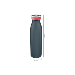 Botella Isotermica Leitz Cosy 500Ml Gris