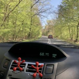 Ambientador para Coche Dr Marcus Lucky Top Frutos rojos Plástico Colgante (12 Unidades)