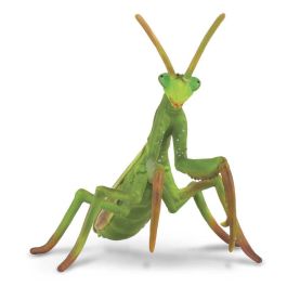 Mantis Religiosa -L- 88351 Collecta Precio: 7.9618. SKU: B12954TDHS