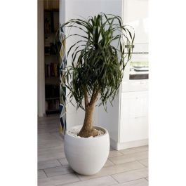 EDA Graphit maceta redonda Ø50cm - Capacidad 46L - Blanco encalado EDA Graphit maceta redonda Ø50cm - Capacidad 46L - Blanco encalado