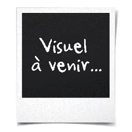 HP Papel Photo Glossy uso diario, 100 hojas, 10 x 15cm, 200gr