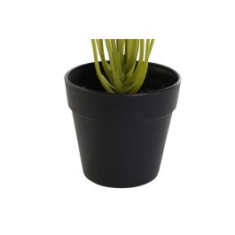 DKD Home Decor Planta Decorativa Artificial de Cala Verde y Negra de 25x25x30 cm en PVC y PP