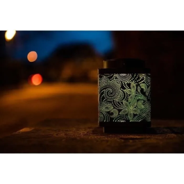 Garden Id Linterna solar Attract Verde 16 x 16 x 23 cm 70703233 Autonomía 6-8h Móvil Botón ON/OFF