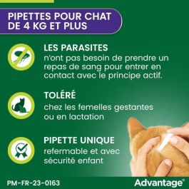 VENTAJA 80 - 4 pipetas antiparasitarias - Para gatos y conejos de 4 kg y más