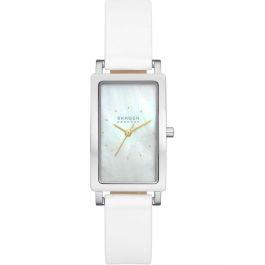 Reloj Mujer Skagen SKW3141 Precio: 130.68999944. SKU: B1KJE4KR5F