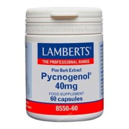 LAMBERTS Pycnogenol 40 Mg Extracto Corteza Pino Marítimo 60 Cápsulas Veganas Precio: 49.5. SKU: B144N5KSTY