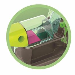 Clementoni CLE8005125529261 - El observatorio de insectos, juego educativo para niños