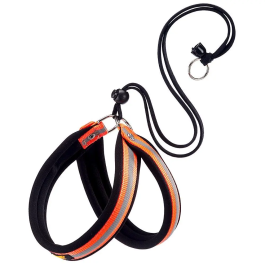 Ferplast Arnés Agila Reflex 4 Naranja Talla 4 (44-52 cm) 20 mm Precio: 21.49999995. SKU: B1GMA5RAHB