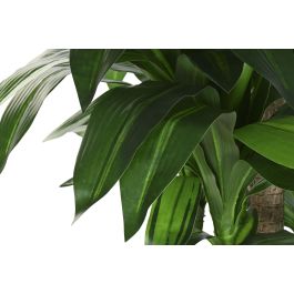 DKD Home Decor Planta Tropical Dracaena Artificial de Polietileno Verde y Marrón, 80 cm Ancho x 180 cm Alto x 80 cm Profundidad (Pack de 2 Unidades)