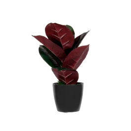 Paperflow Planta Artificial Ficus Elastica 36 cm con Follaje PEVA y Tronco Polietileno para Decoración Precio: 46.6455. SKU: B1KP5Y4P5T