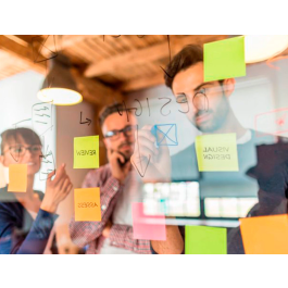 Q-connect Bloc de Notas Electrostáticas Adhesivas Quita y Pon Din A4 210x297mm 100 Hojas Colores Fluorescentes