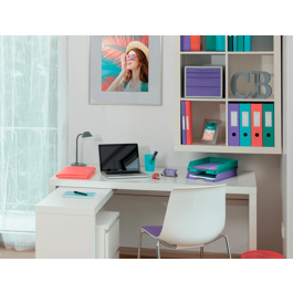 Esselte Archivador de Palanca Colour Breeze DIN A4 Lomo 75 mm Color Malva