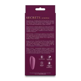 Masajeador erótico NS Novelties Secrets Rojo