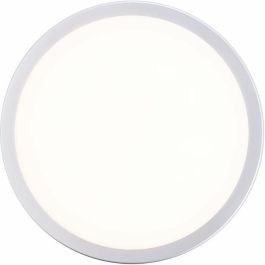 Brilliant BRI4004353356445 Luz de techo exterior LED integrado color plateado