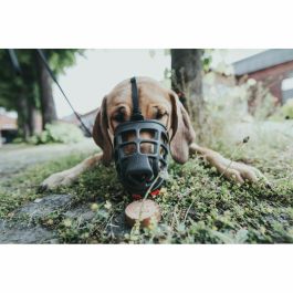 Hunter Bozal Albury 3 para Perro con Protección contra Cebos Envenenados - Medidas: Hocico Máx. 6.3cm, Cuello Máx. 62cm, Color Negro