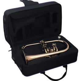 SML Fliscorno BU600, Alto 35 cm, Largo 51 cm, Ancho 22 cm