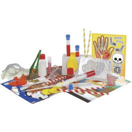 HOLA MAESTRO SIL3700994305804 Descubriendo el cuerpo humano Precio: 41.50000041. SKU: B18RQD9MSM