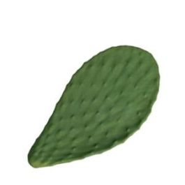 Cactus Fuente 32X17 Cm (2 Unidades) Precio: 60.69000025. SKU: B18FSG32BK