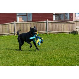 Coachi Tuggi Spider Juguete para Perros y Cachorros de Adiestramiento y Recompensa, Resistente para Tirar y Evitar Mordiscos Azul-Lima-Azul Claro