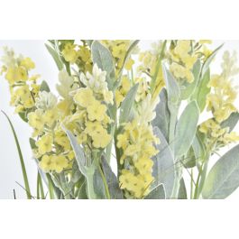 Planta DKD Home Decor Rosa Palo Amarillo 20 x 66 x 20 cm (2 Unidades) Planta DKD Home Decor Rosa Palo Amarillo 20 x 66 x 20 cm (2 Unidades)
