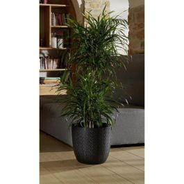 Eda EDA3086960265526 Opal Chape Ø 29.5 cm 14.8 L Negro Eda EDA3086960265526 Opal Chape Ø 29.5 cm 14.8 L Negro
