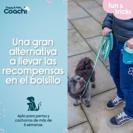 Arnés para Perro Coachi