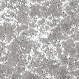 Home Deco Factory Alfombra Efecto Plata 120x170 cm Poliéster