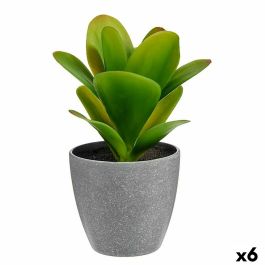 Planta Decorativa Plástico (6 Unidades) (11 x 20 x 11 cm) Precio: 23.59000028. SKU: S3616024