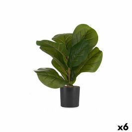 Planta Decorativa 9,5 x 42 x 9,5 cm Plástico 6 Unidades Precio: 84.95000052. SKU: S3617838