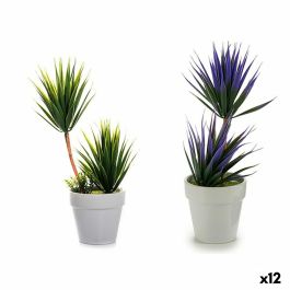 Planta Decorativa Suculenta Cerámica Plástico 10 x 30 x 10 cm (12 Unidades) Precio: 51.94999964. SKU: B1BZAPN4CT