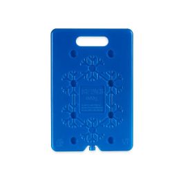 Acumulador de Frío Azul Plástico 600 ml 30 x 1,5 x 20 cm (12 Unidades)