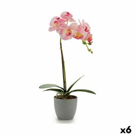 Planta Decorativa Orquídea Plástico 13 x 39 x 22 cm (6 Unidades)