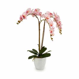 Planta Decorativa Orquídea Plástico 40 x 77 x 35 cm (2 Unidades)