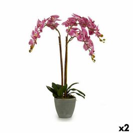 Planta Decorativa Orquídea Plástico 33 x 77 x 33 cm (2 Unidades) Precio: 52.95000051. SKU: B168AR5BSZ