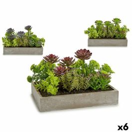 Planta Decorativa Suculenta Plástico Cemento 16,5 x 20 x 28,5 cm (6 Unidades)